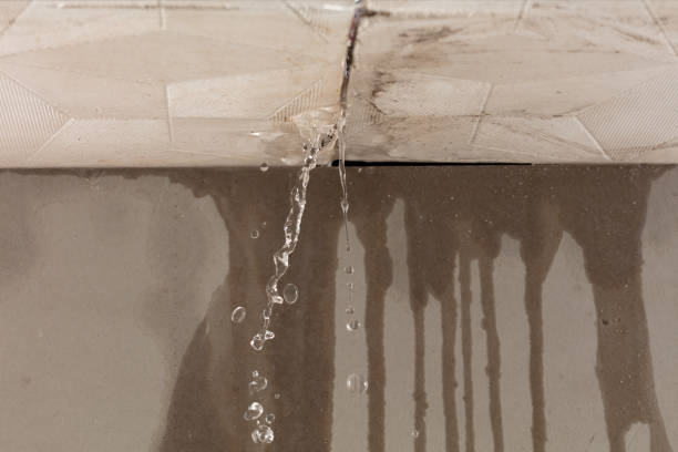 Professional Structural Drying technician working in Santee, SC